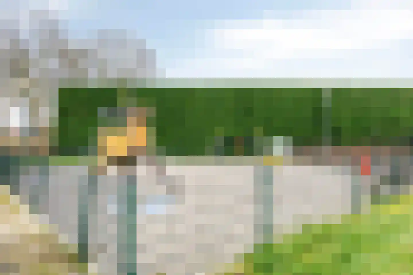 De Burght 181 Geldrop thumbnail 45