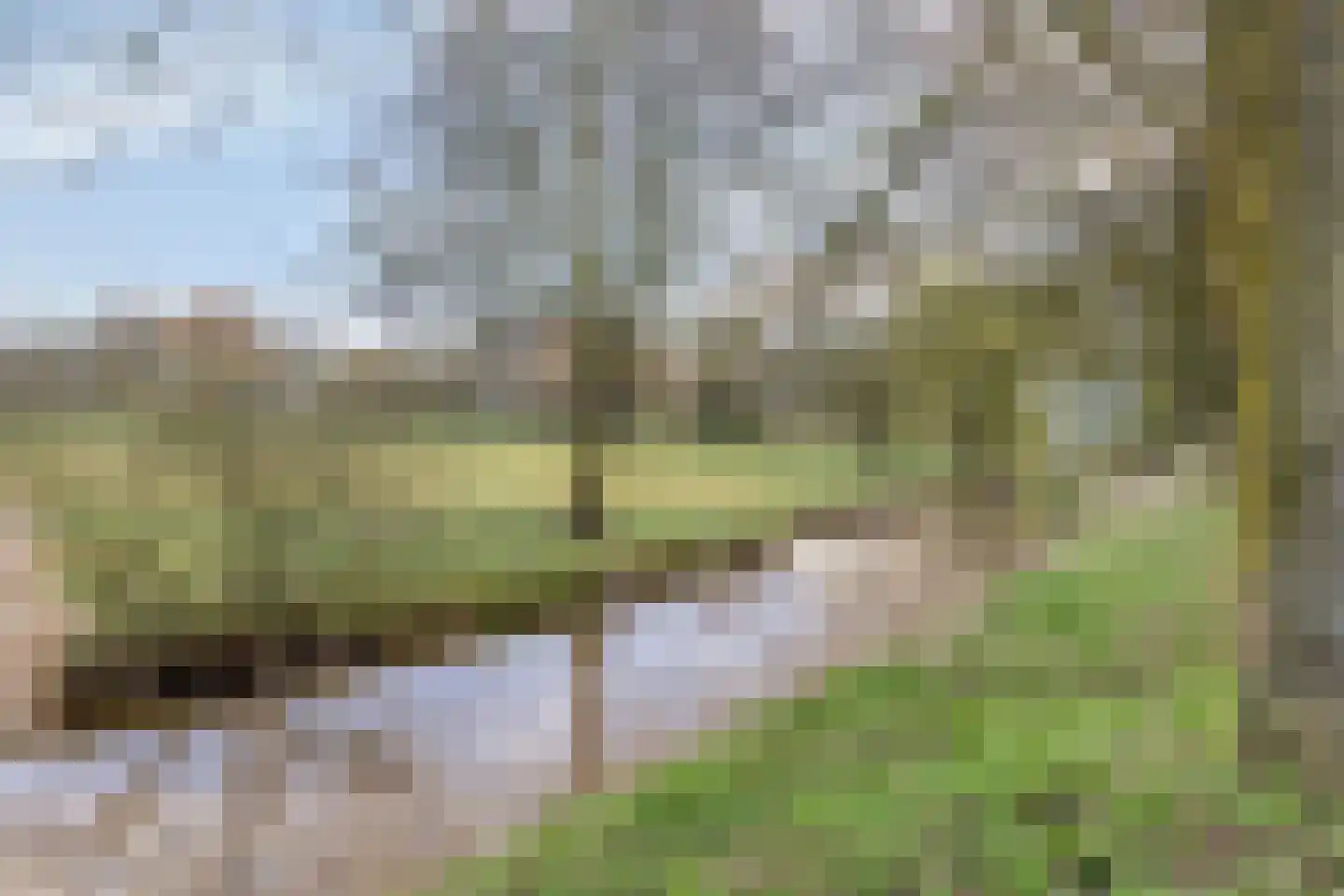 De Burght 181 Geldrop thumbnail 47