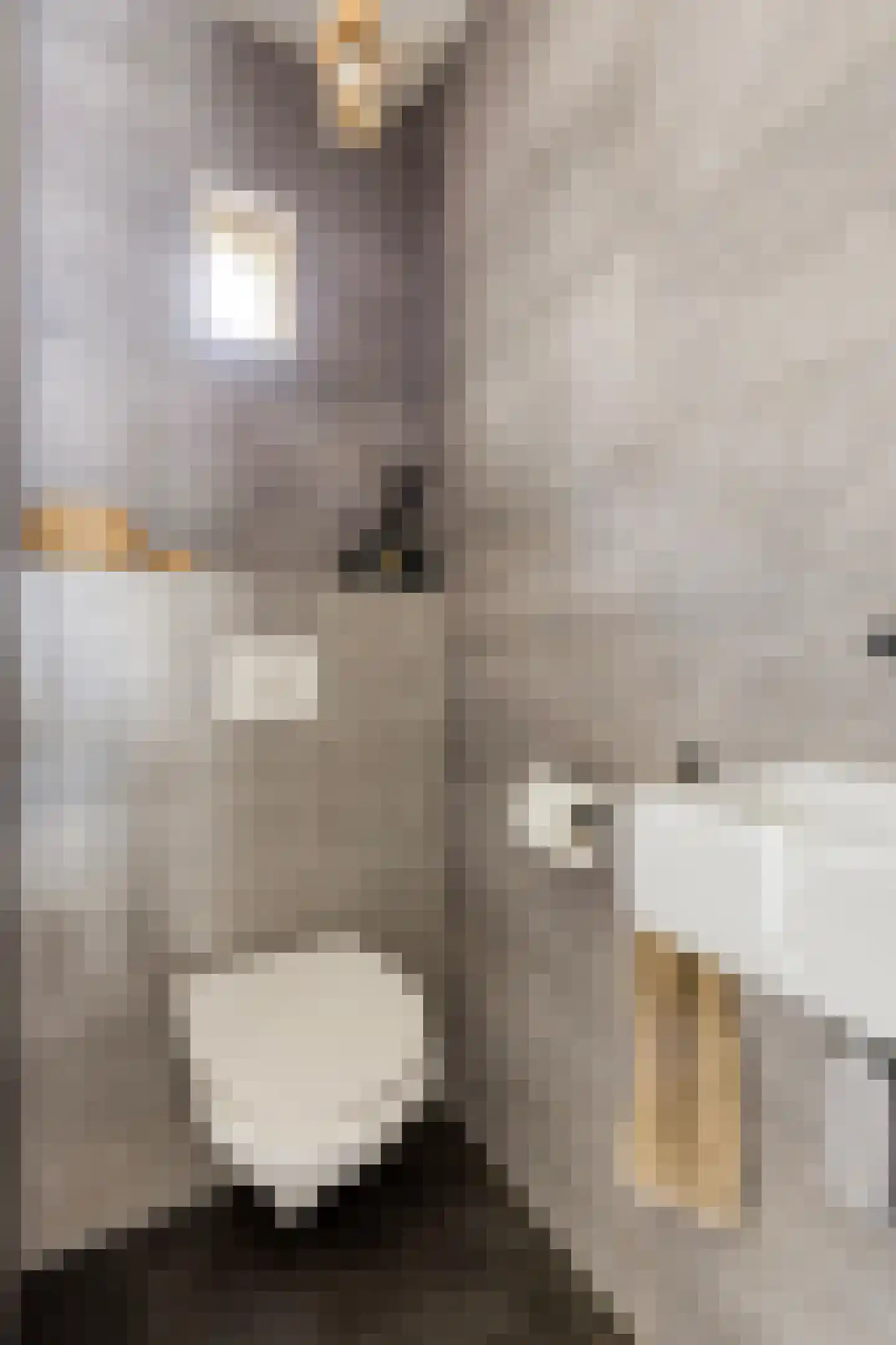 De Burght 181 Geldrop thumbnail 5