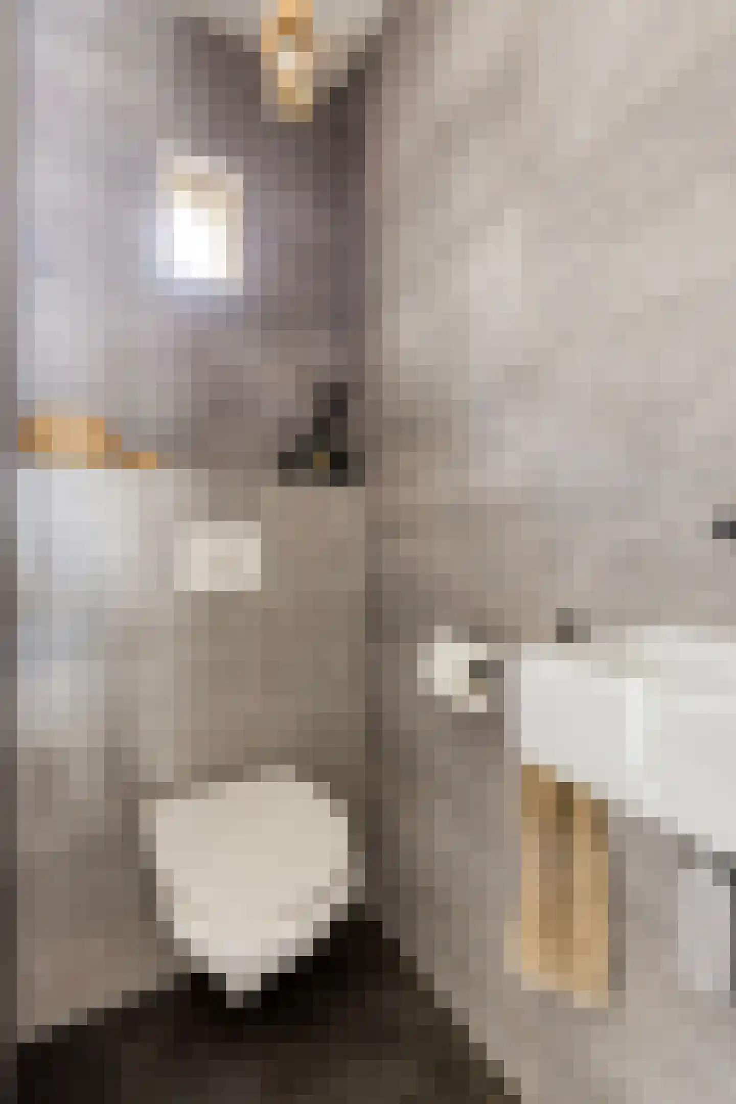 De Burght 181 Geldrop thumbnail 7