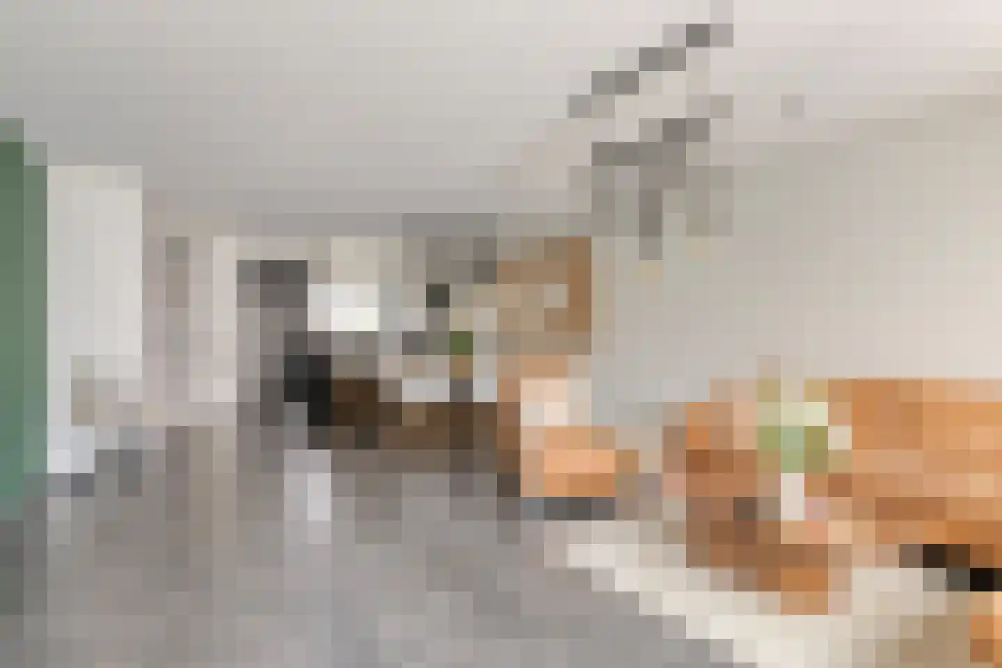 De Burght 181 Geldrop thumbnail 8