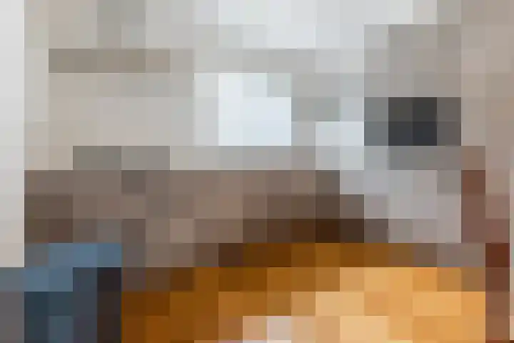 De Burght 189 Geldrop thumbnail 10