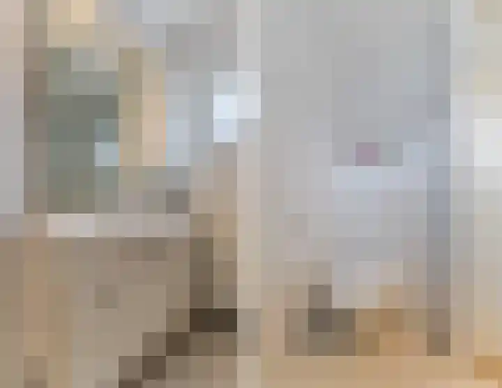 De Burght 189 Geldrop thumbnail 17