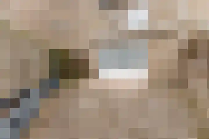 De Burght 189 Geldrop thumbnail 26