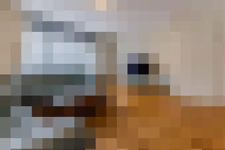 De Burght 189 Geldrop thumbnail 6