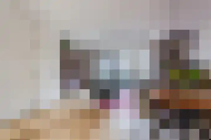 De Burght 55 Geldrop thumbnail 12