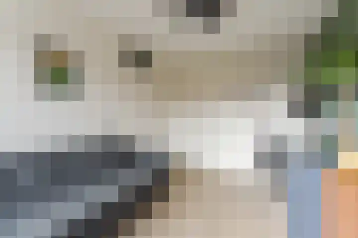 De Burght 55 Geldrop thumbnail 26