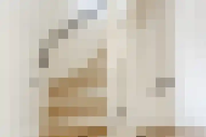 De Burght 55 Geldrop thumbnail 27