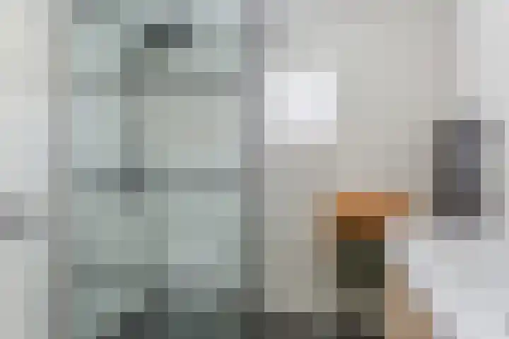 De Burght 55 Geldrop thumbnail 28