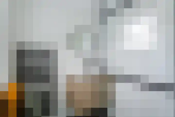 De Burght 55 Geldrop thumbnail 29