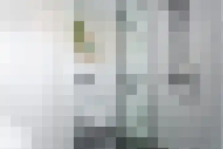 De Burght 55 Geldrop thumbnail 30
