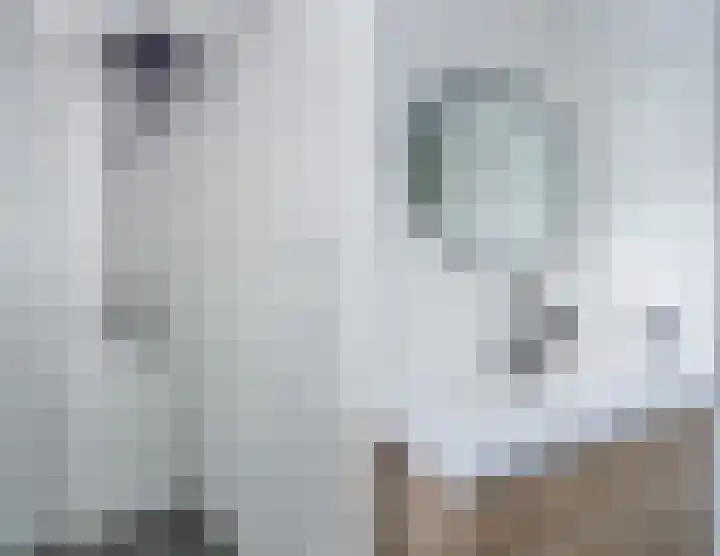 De Burght 55 Geldrop thumbnail 31
