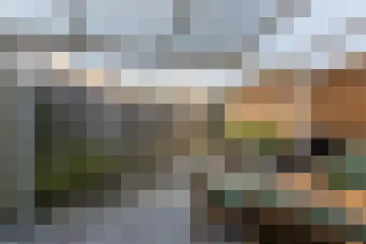 De Burght 55 Geldrop thumbnail 39