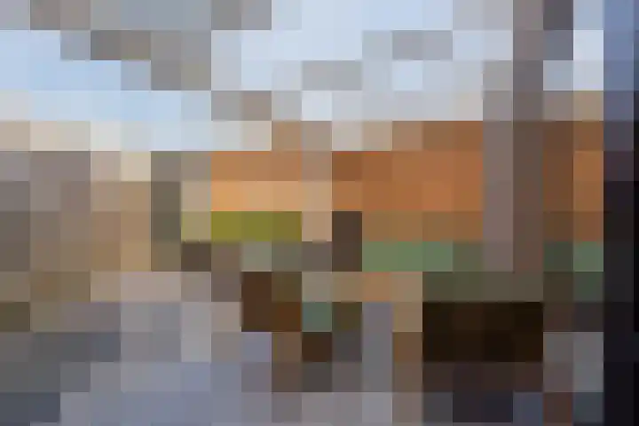 De Burght 55 Geldrop thumbnail 40