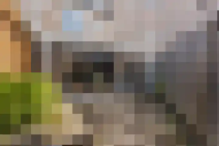 De Burght 55 Geldrop thumbnail 42