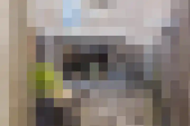De Burght 55 Geldrop thumbnail 44