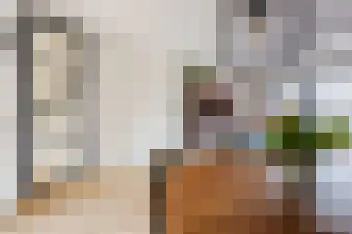 De Burght 55 Geldrop thumbnail 6