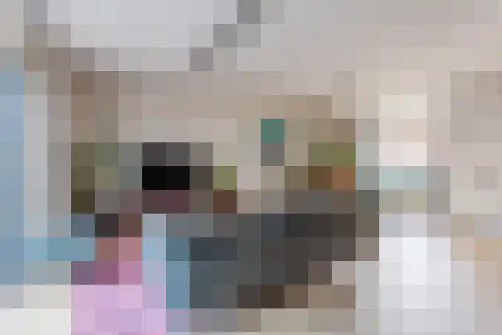 De Burght 55 Geldrop thumbnail 7