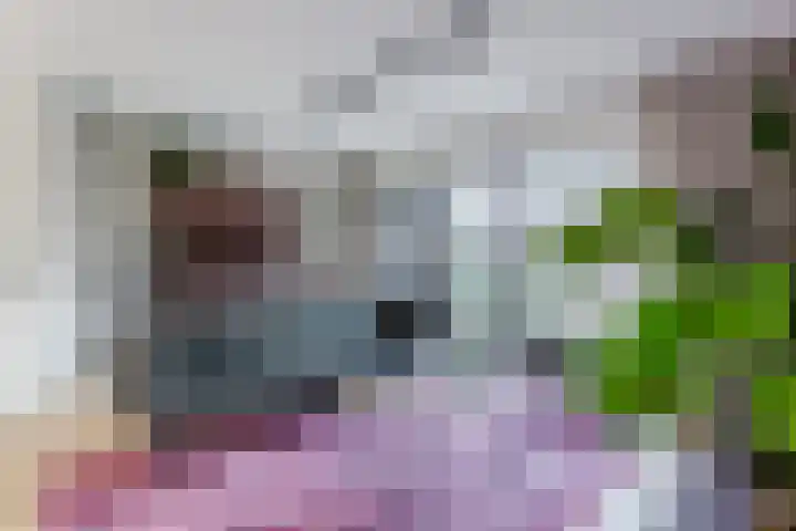 De Burght 55 Geldrop thumbnail 9