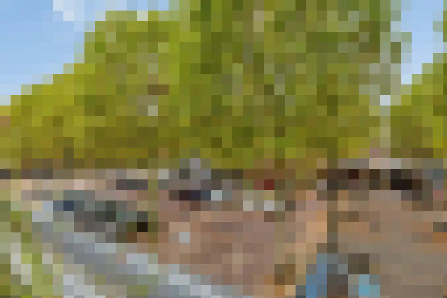De Bus 12 Waalre thumbnail 26