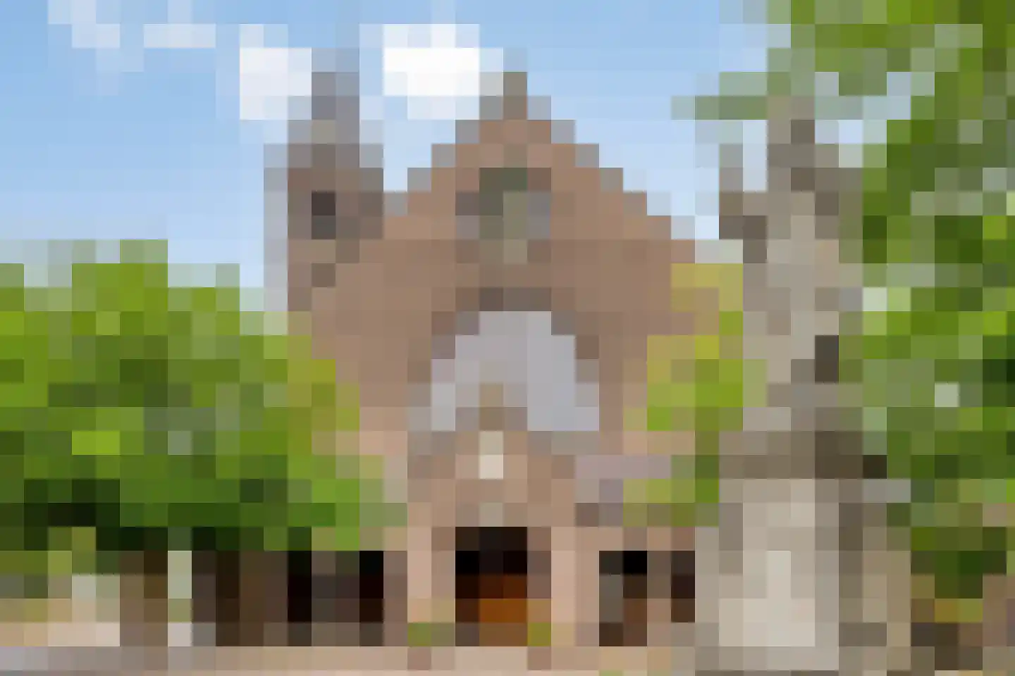 De Bus 12 Waalre thumbnail 28
