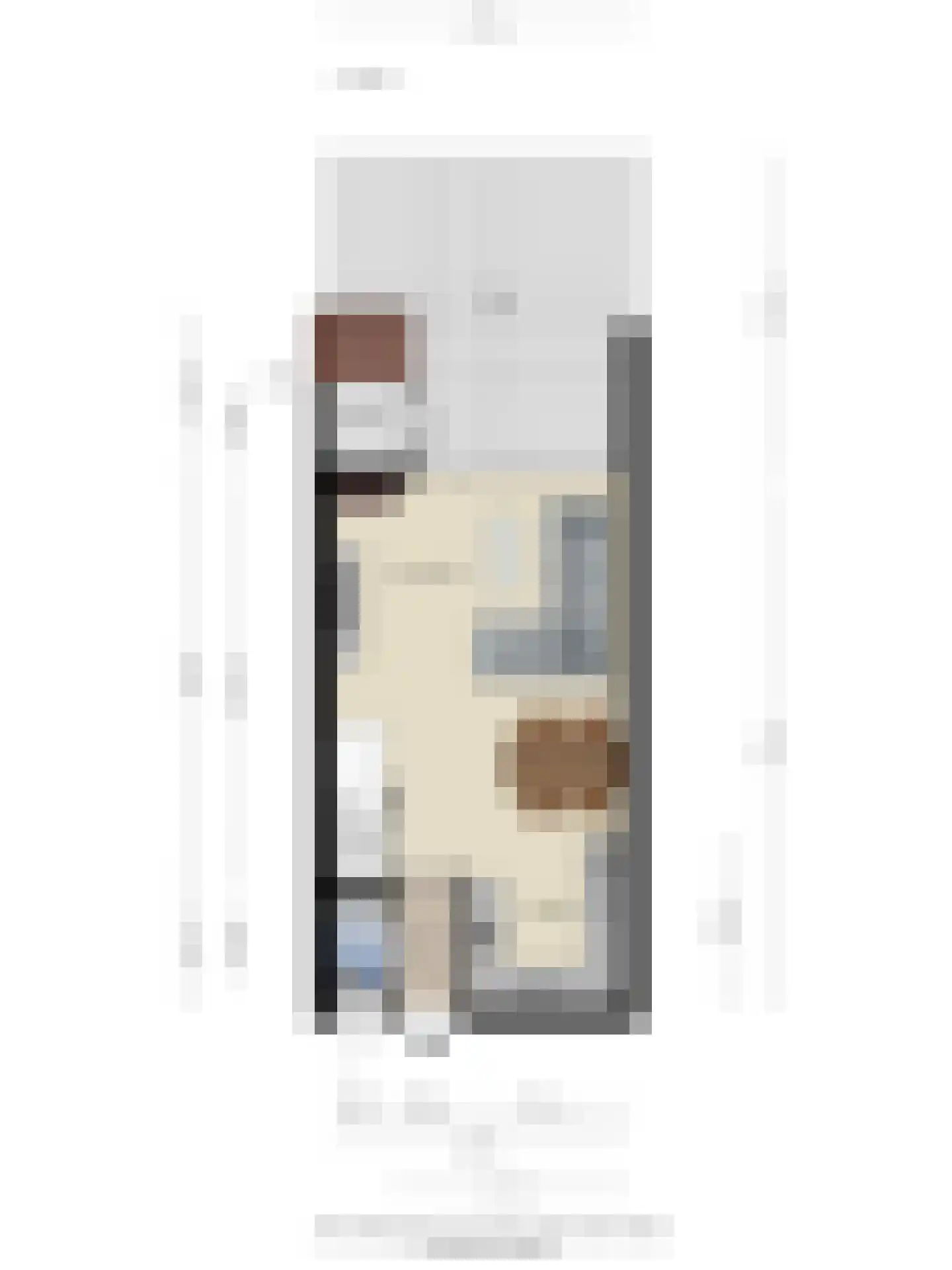 De Bus 12 Waalre thumbnail 31