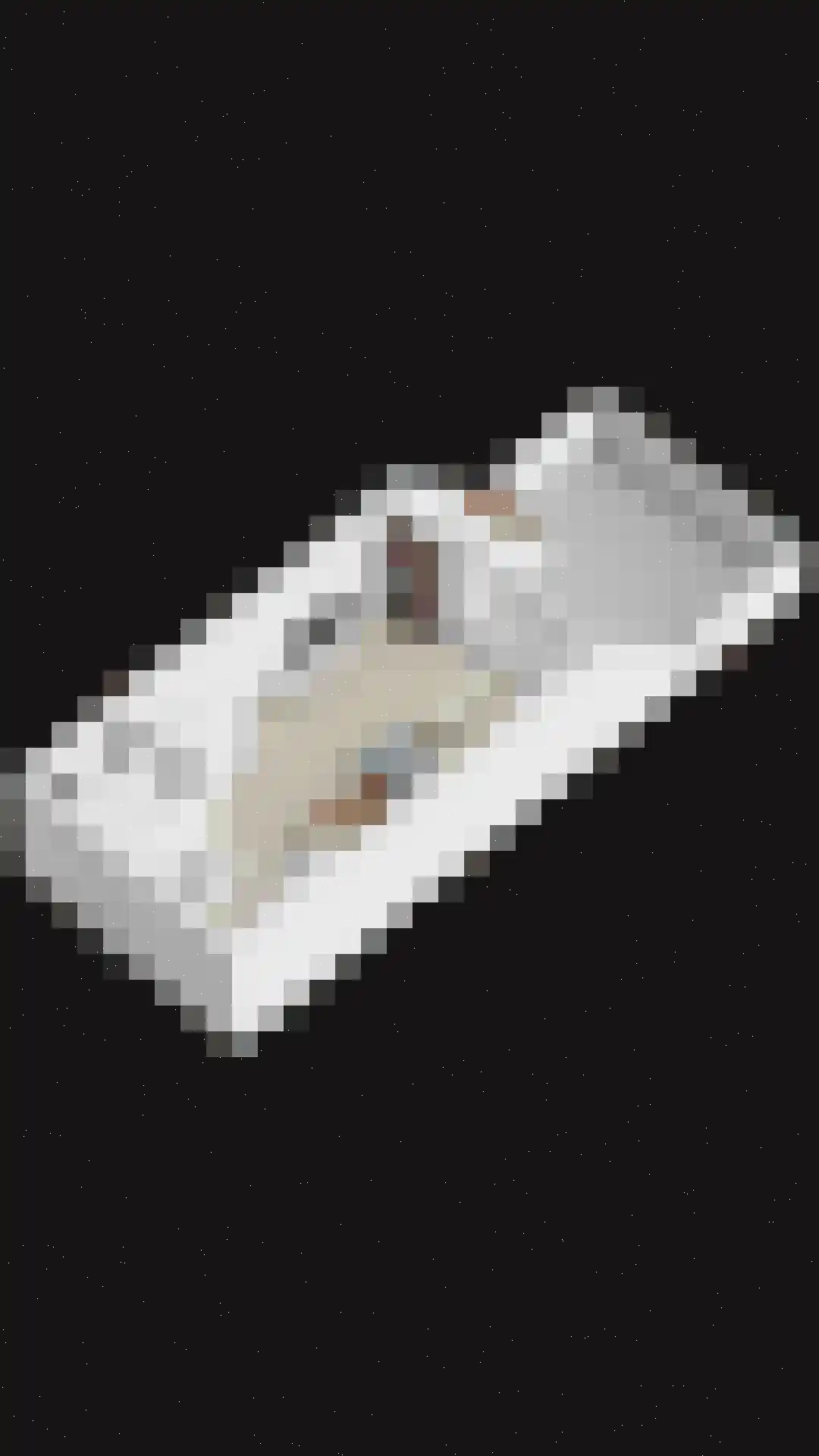 De Bus 12 Waalre thumbnail 33