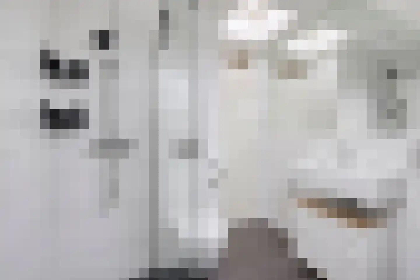 De Bus 12 Waalre thumbnail 4