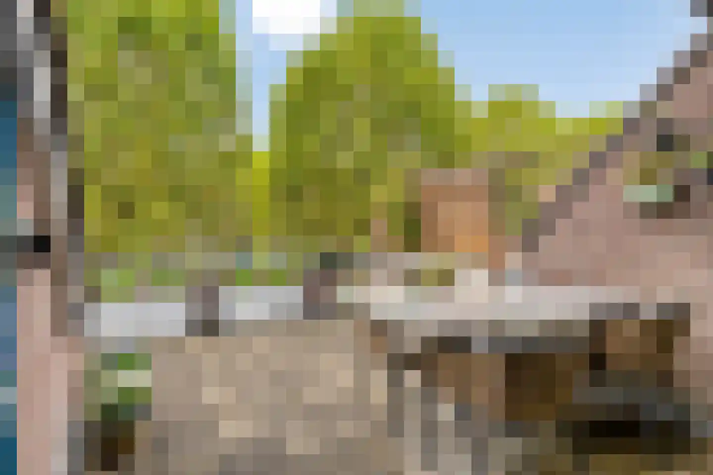 De Bus 12 Waalre thumbnail 5