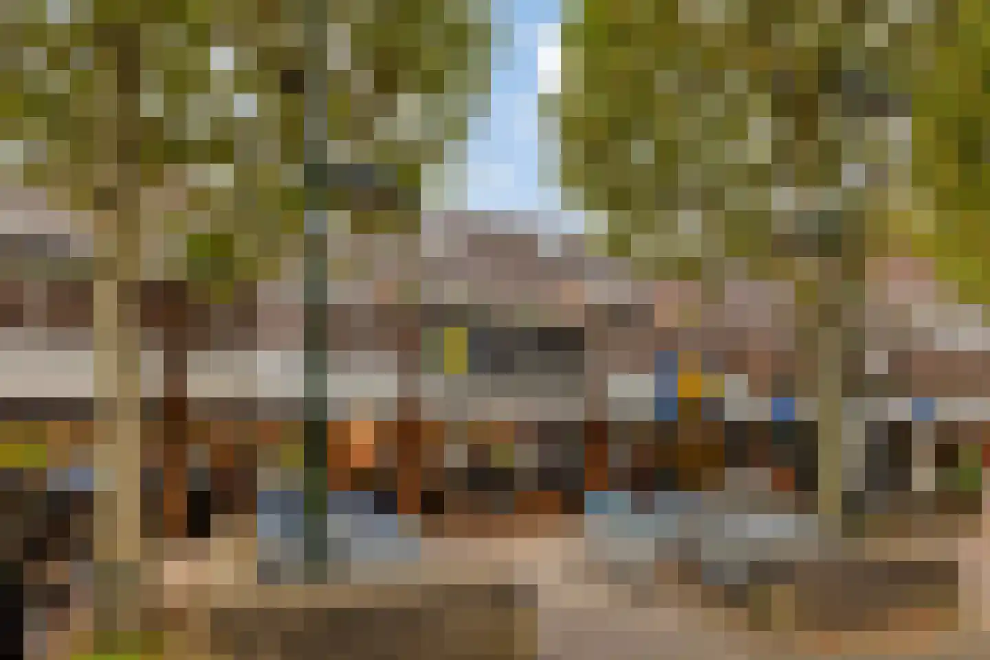 De Bus 12 Waalre thumbnail 6