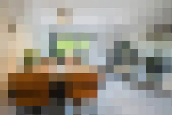 De Bus 19 Waalre thumbnail 13