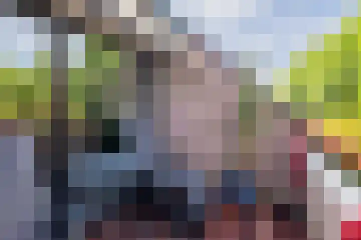 De Bus 19 Waalre thumbnail 14