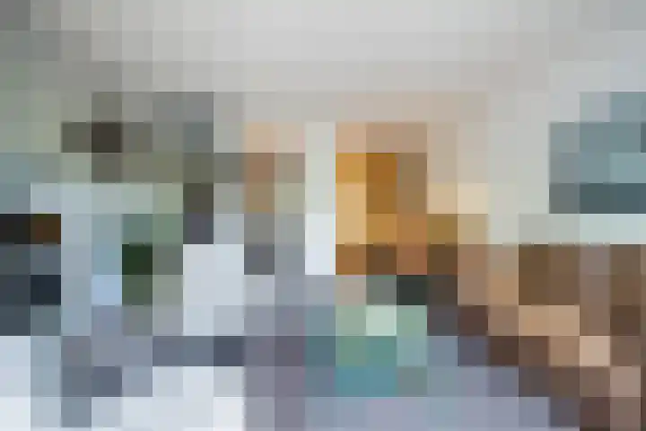 De Bus 19 Waalre thumbnail 16