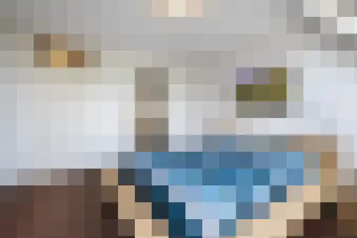 De Bus 19 Waalre thumbnail 23