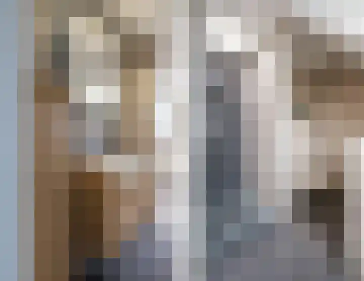 De Bus 19 Waalre thumbnail 25