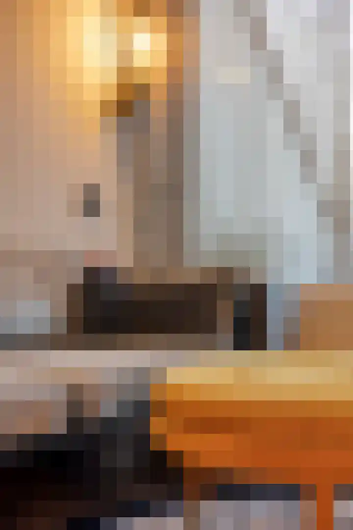 De Bus 22 Waalre thumbnail 11