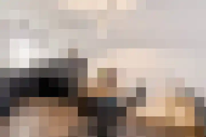 De Bus 22 Waalre thumbnail 12