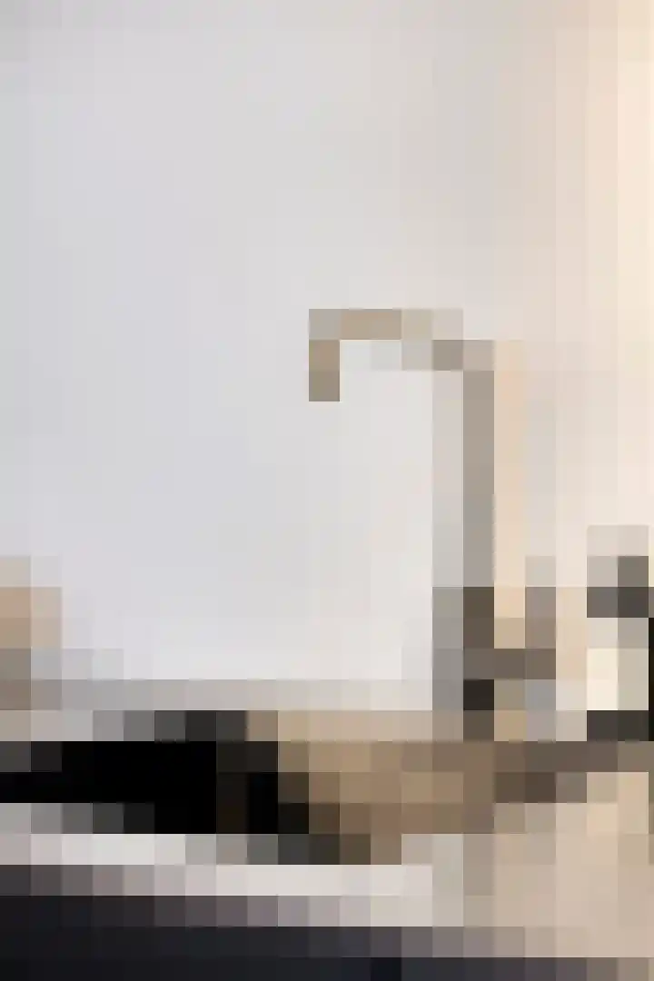 De Bus 22 Waalre thumbnail 17