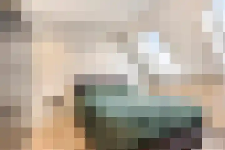 De Bus 22 Waalre thumbnail 21