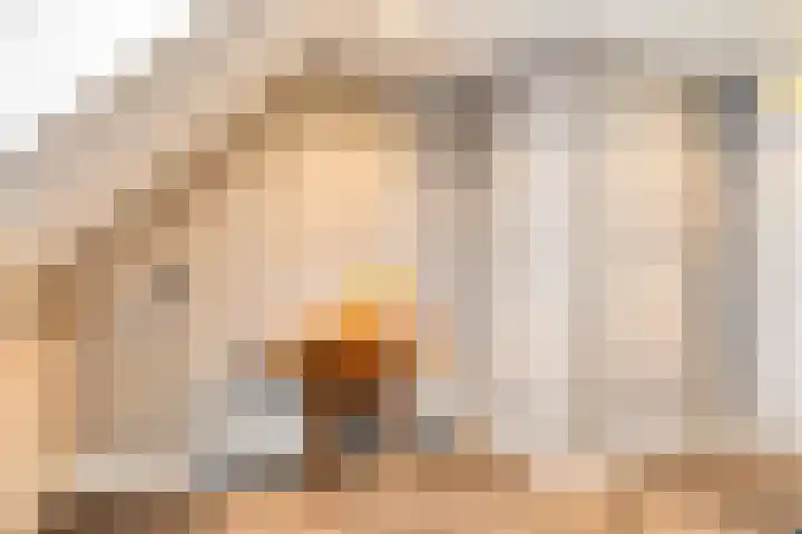 De Bus 22 Waalre thumbnail 23