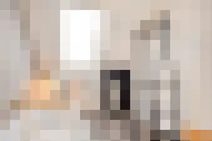De Bus 22 Waalre thumbnail 24