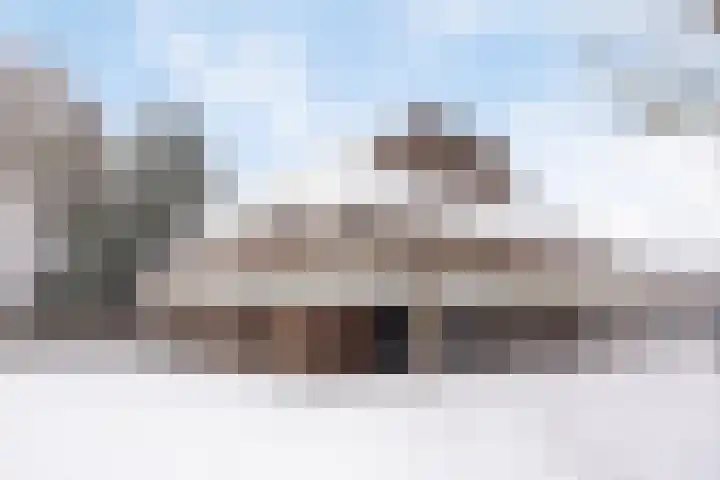 De Bus 22 Waalre thumbnail 33