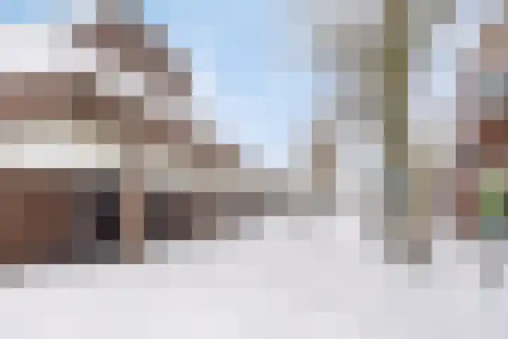 De Bus 22 Waalre thumbnail 34