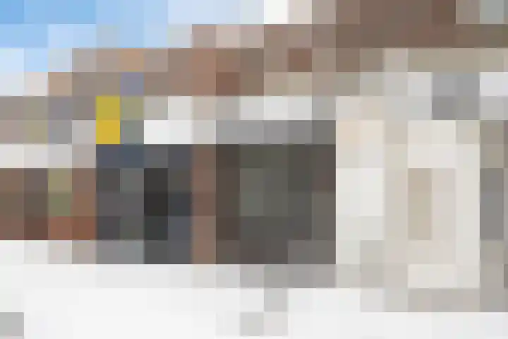 De Bus 22 Waalre thumbnail 4