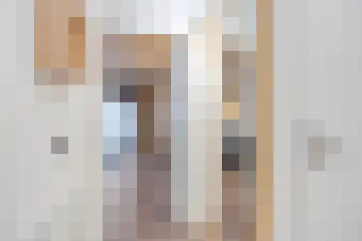 De Bus 22 Waalre thumbnail 6