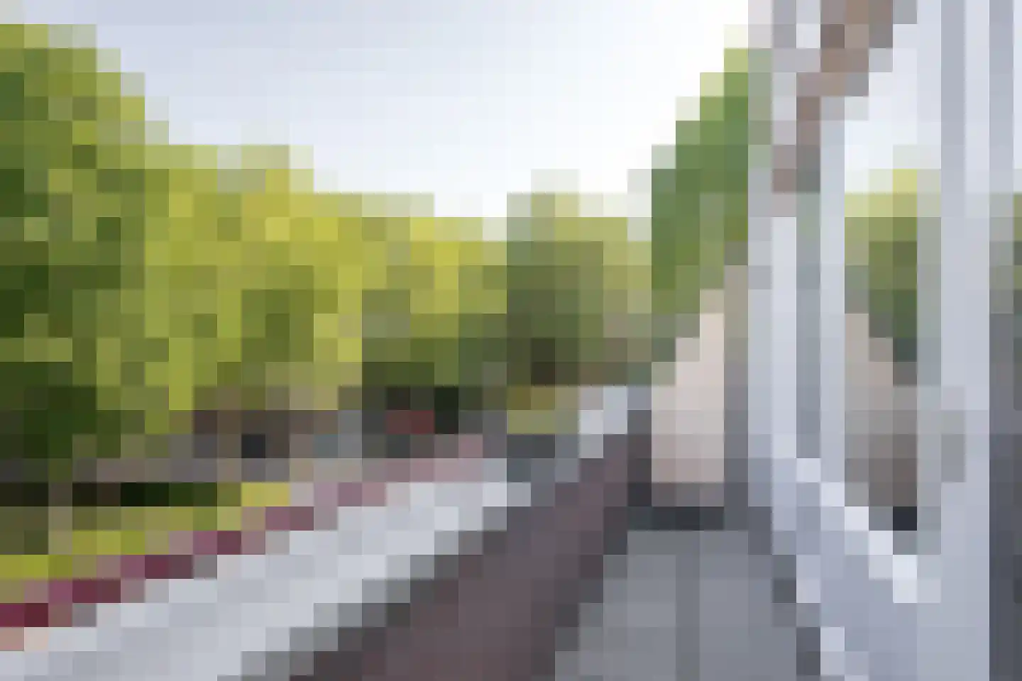 De Bus 26 Waalre thumbnail 24