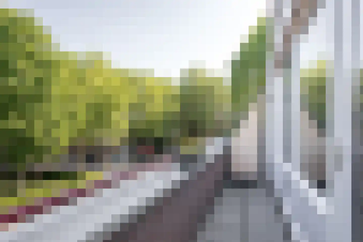 De Bus 26 Waalre thumbnail 24