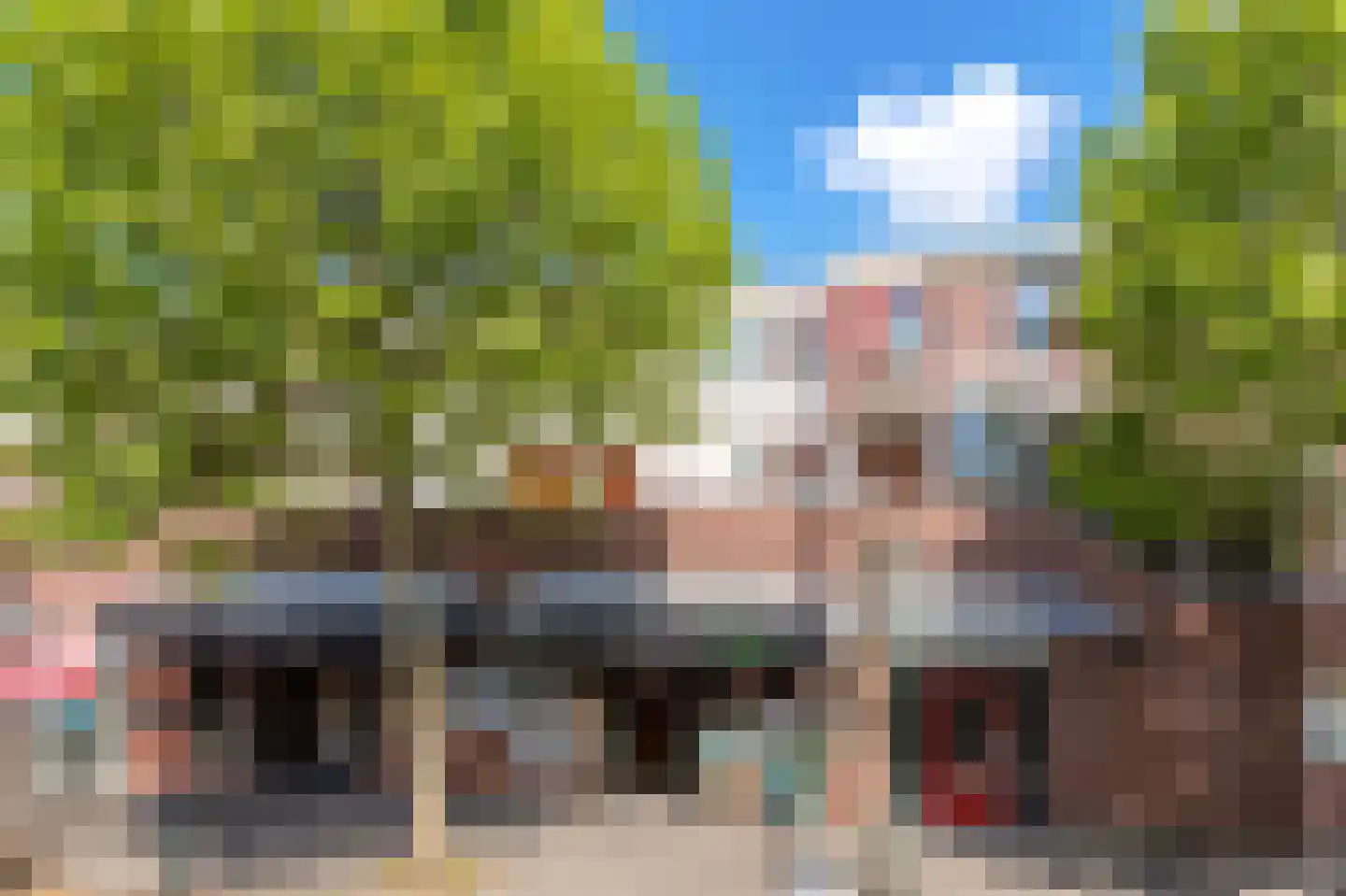 De Bus 26 Waalre thumbnail 28