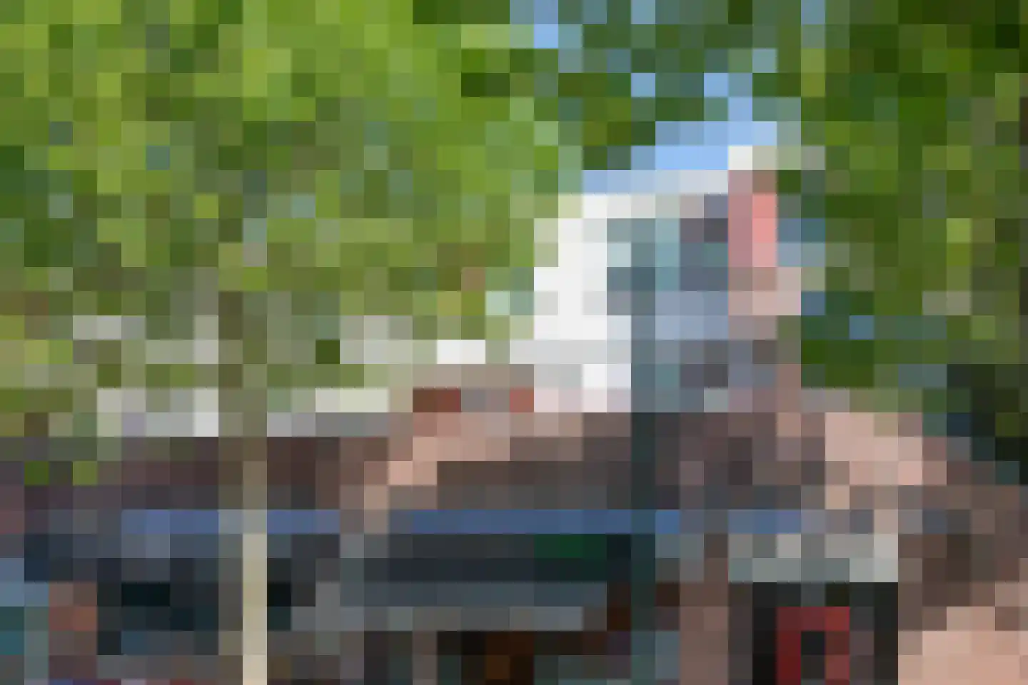 De Bus 26 Waalre thumbnail 28