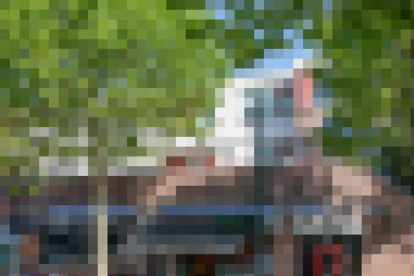 De Bus 26 Waalre thumbnail 29